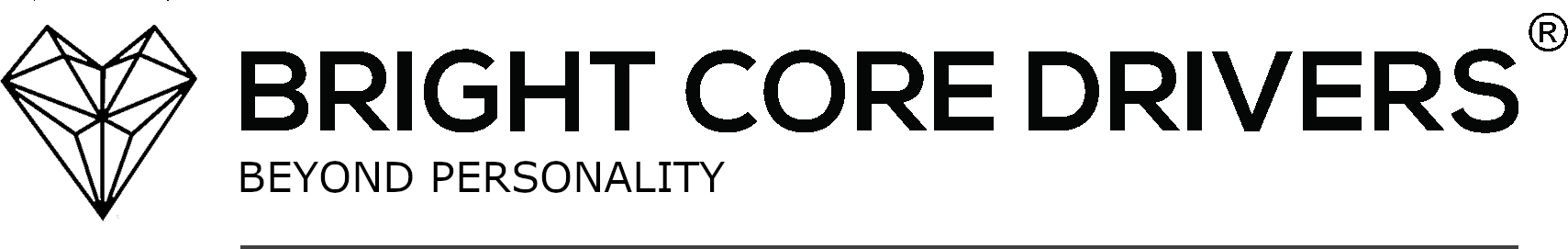 Bright Core Drivers Discovery Assessment